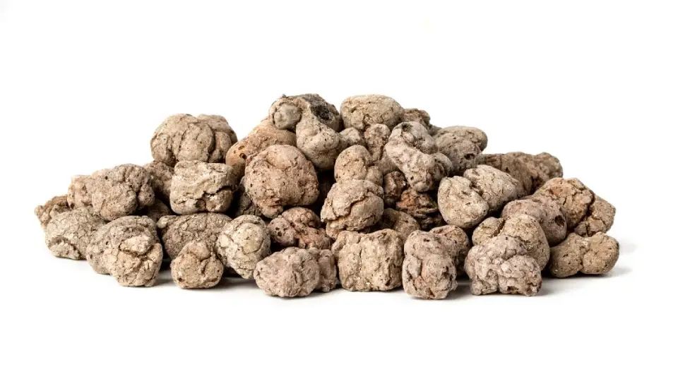 Budowa Domów Kąty Rybackie - MyQu.be